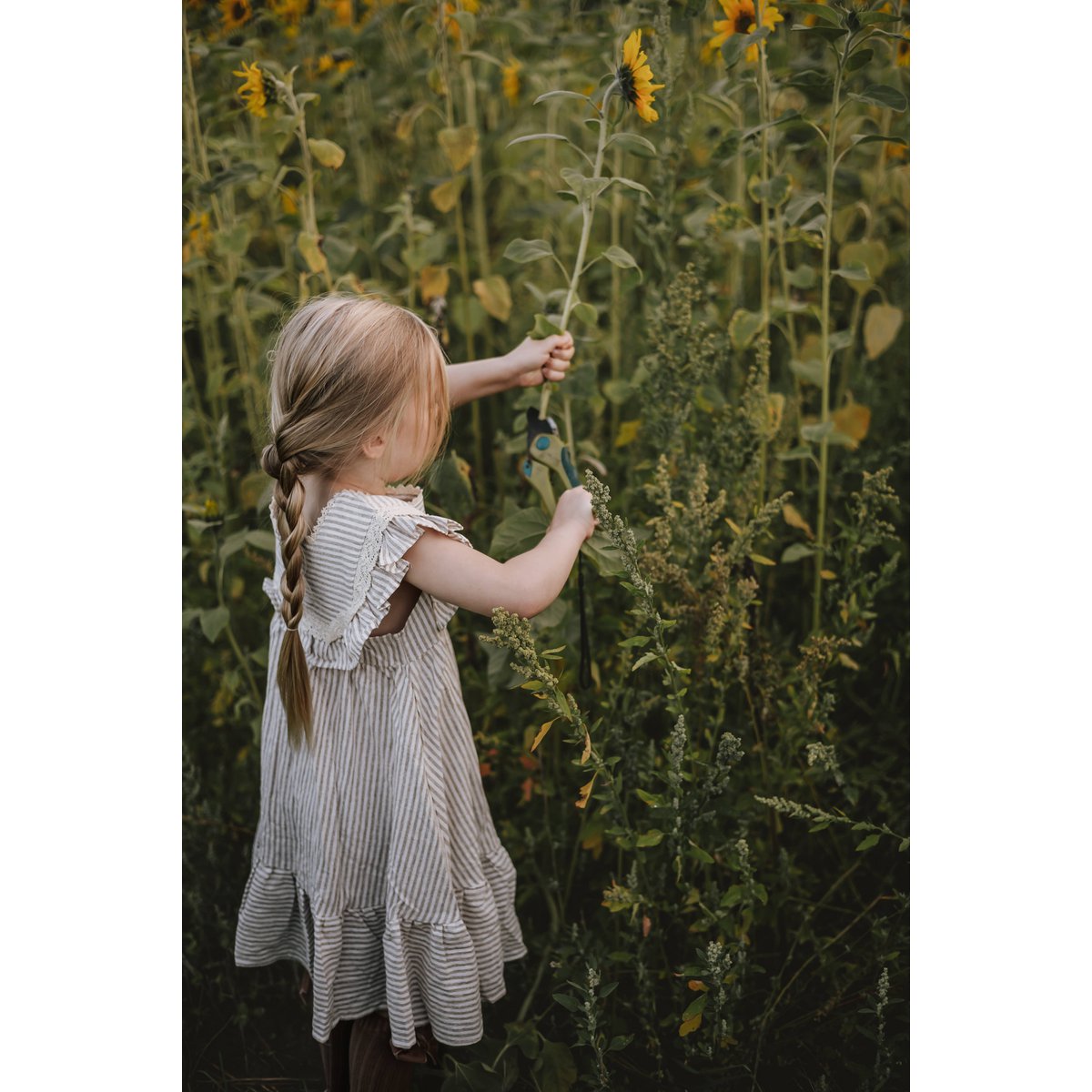 Annie & Charles® Bloomer und Kleid ALICE
